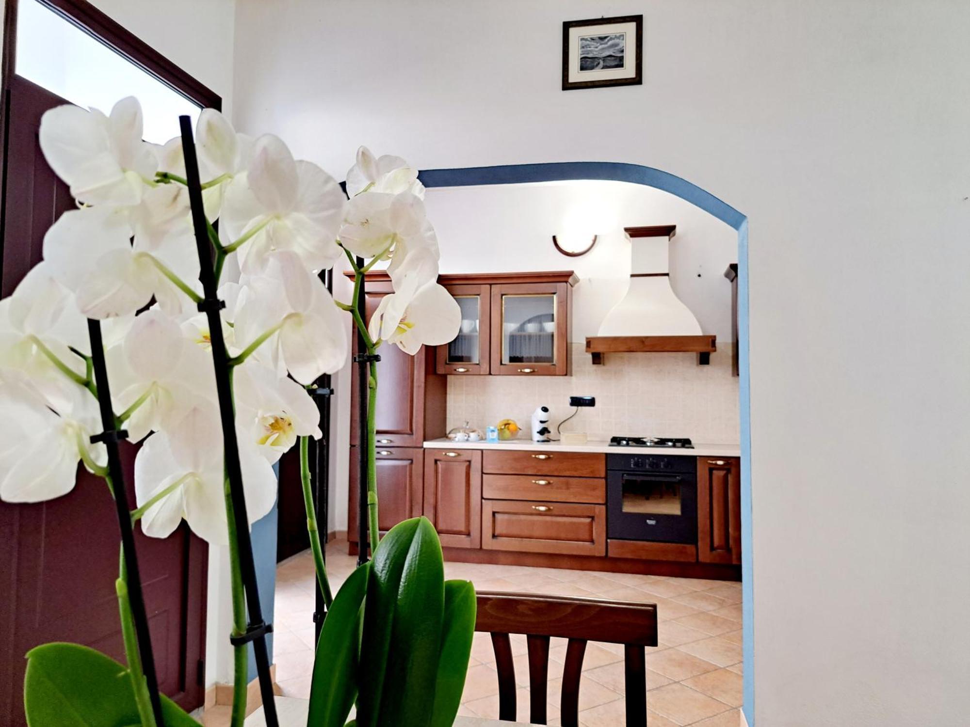 Ghilarza Anninnia Guest House B&B - Ghiiarza מראה חיצוני תמונה